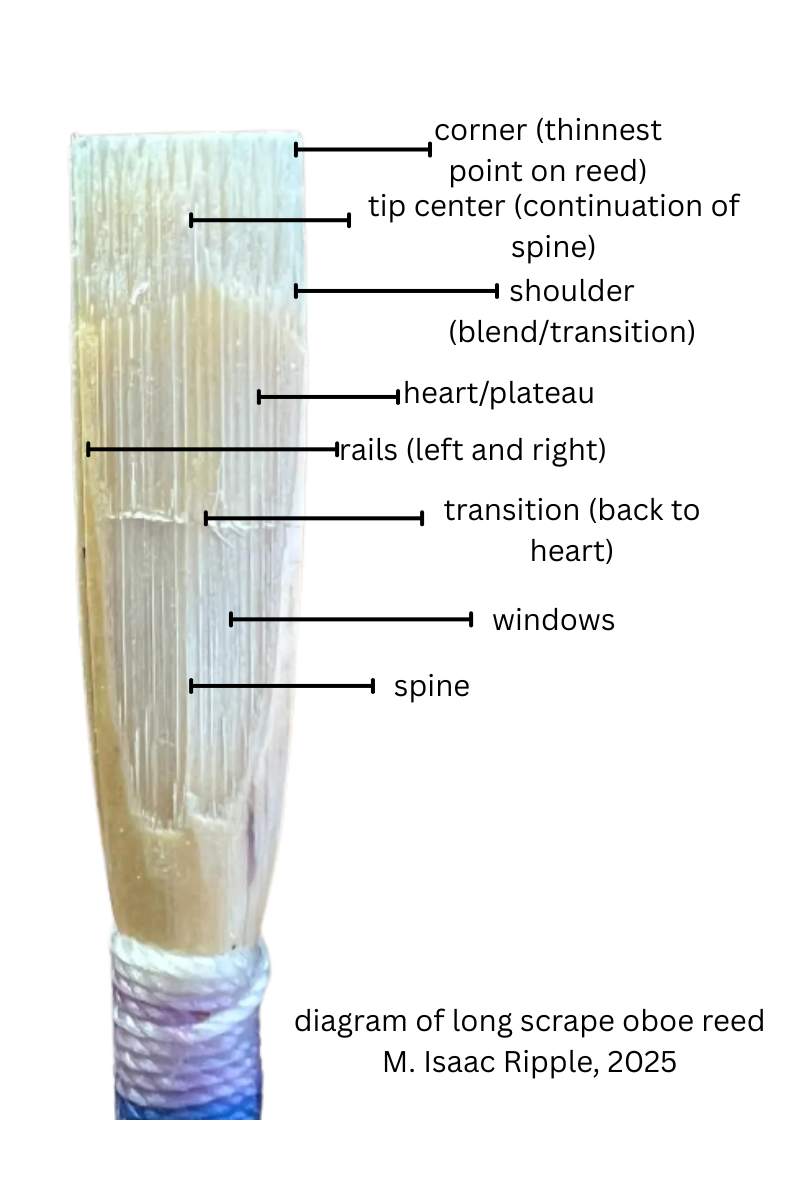 Reed diagram