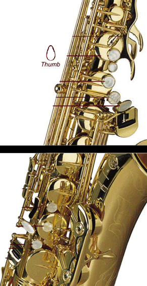 Sax